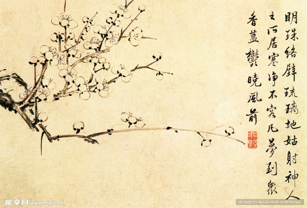 国画梅花