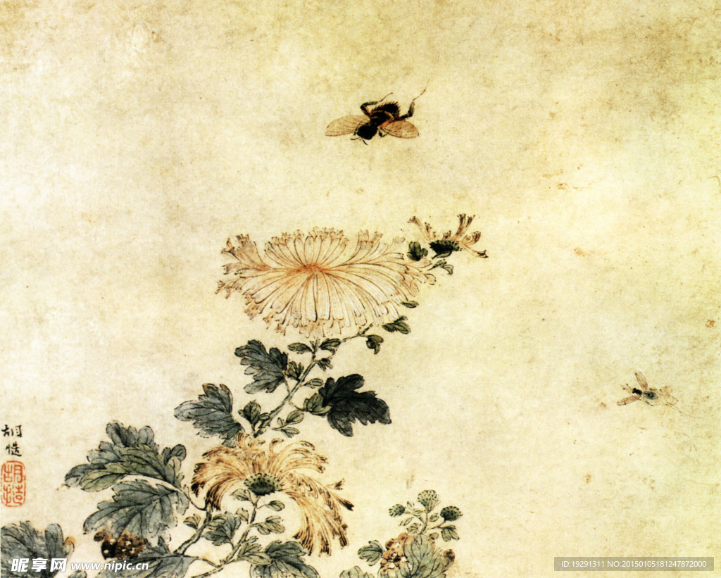 国画花卉