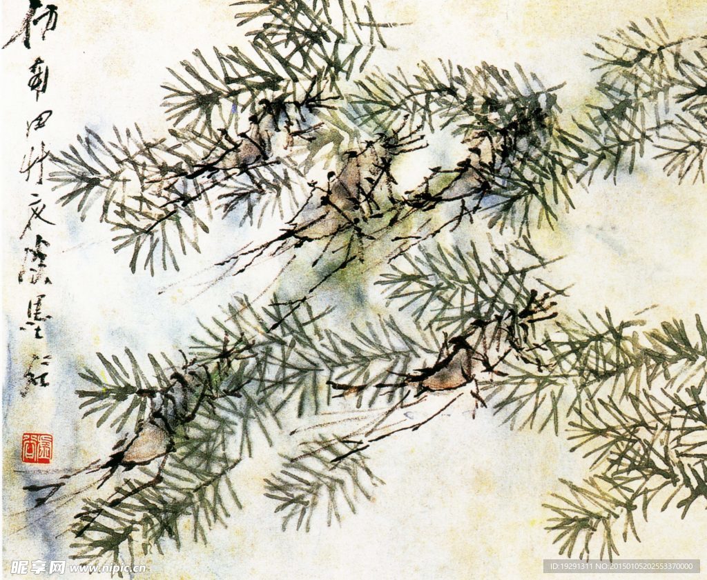 国画花鸟