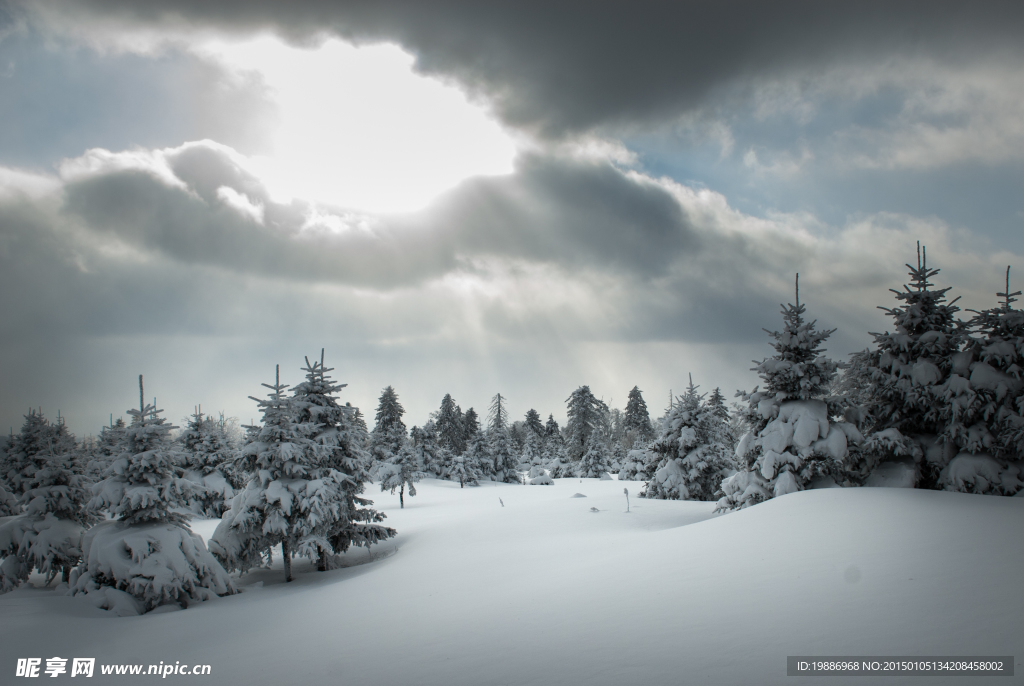 冬季森林雪景