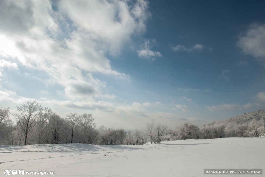 冬季森林雪景