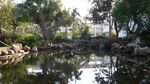 小区景观