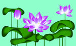荷花