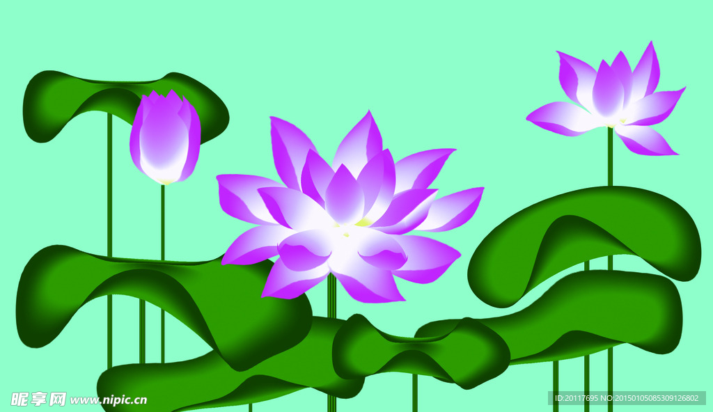 荷花