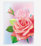 玫瑰花矢量图