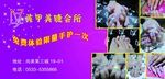 美甲单页