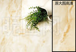瓷砖特写花纹路