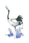 中国画鹤
