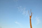 天空