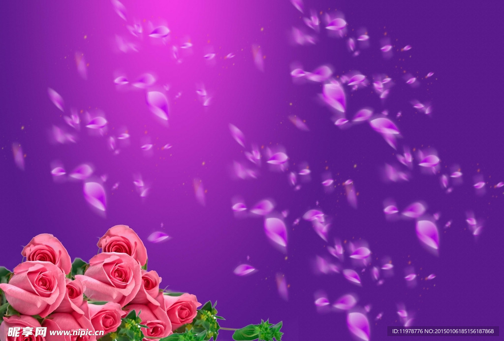 玫瑰花