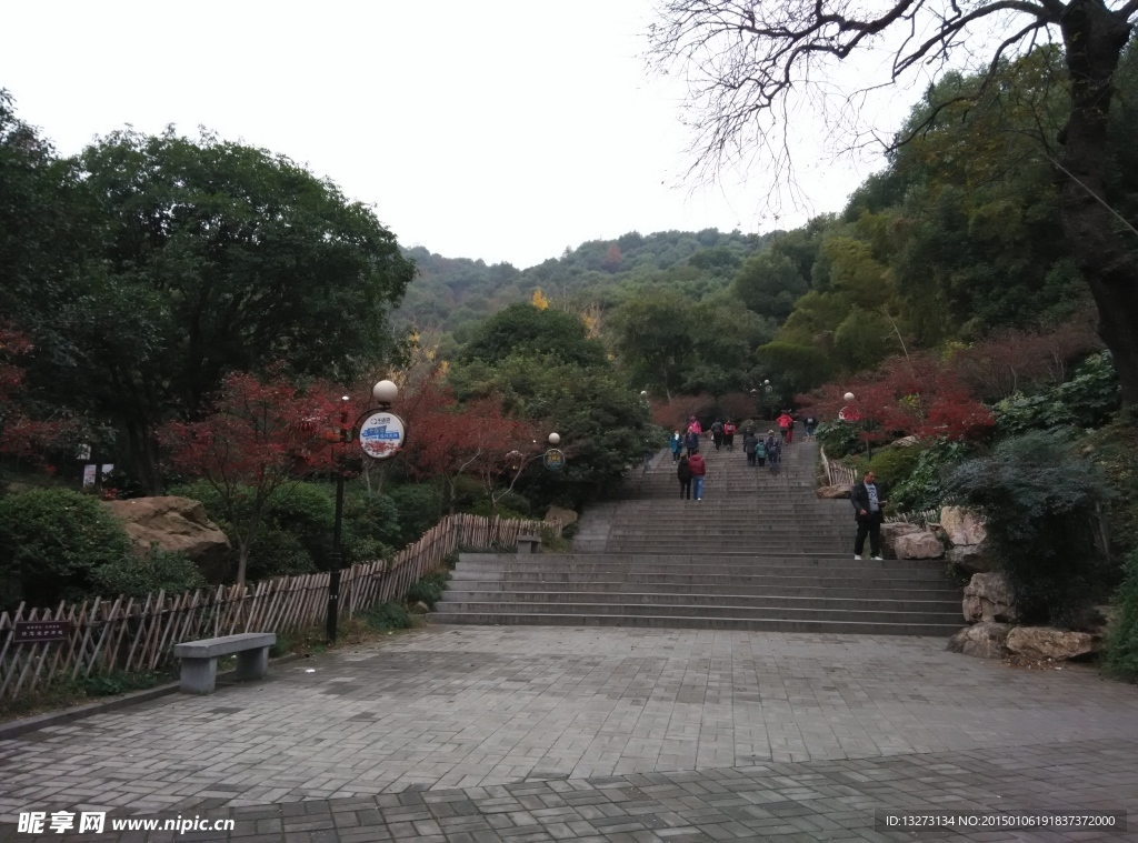 岳麓山