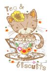 小猫
