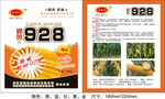 928玉米种