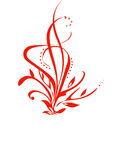 花纹
