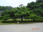 沈阳昭陵