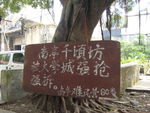 大学城南亭村一角