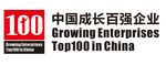 中国成长百强企业标志
