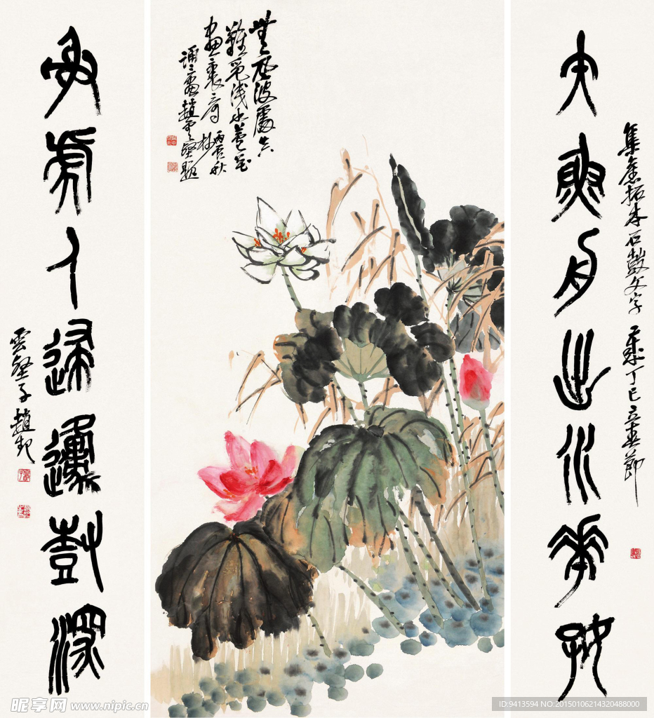 荷花