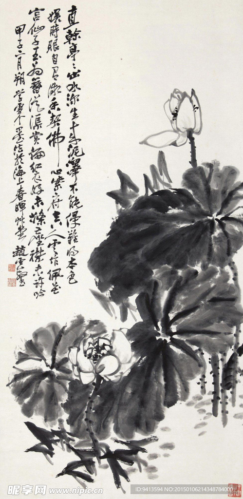 荷花