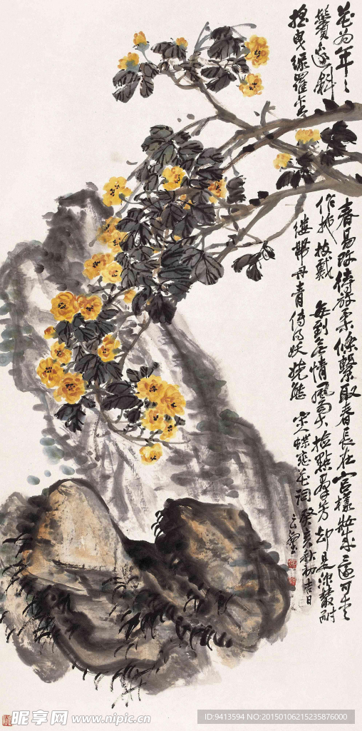 迎春花