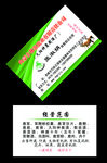 绿色名片