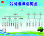 公司组织结构图