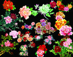 花卉素材