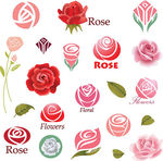 精美玫瑰花花卉商标