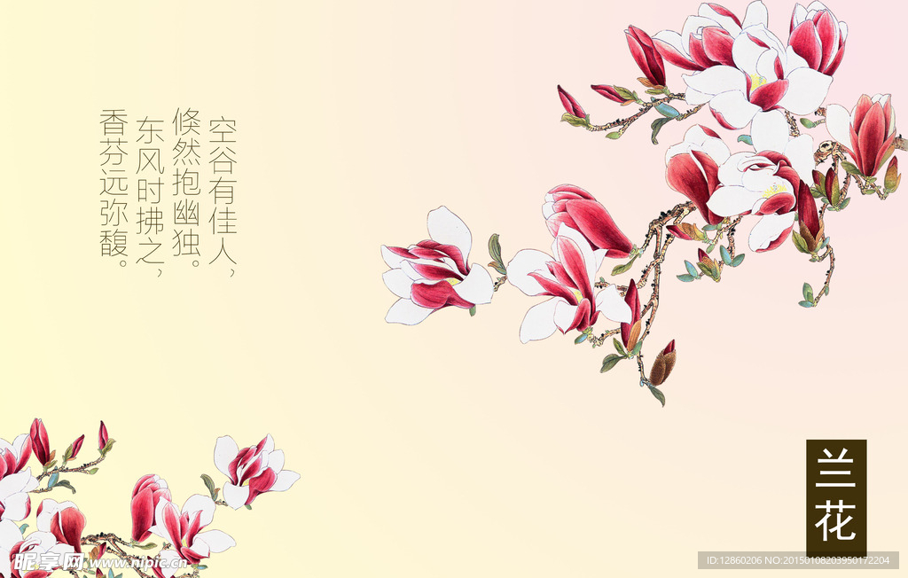 粉色淡雅玉兰花背景图