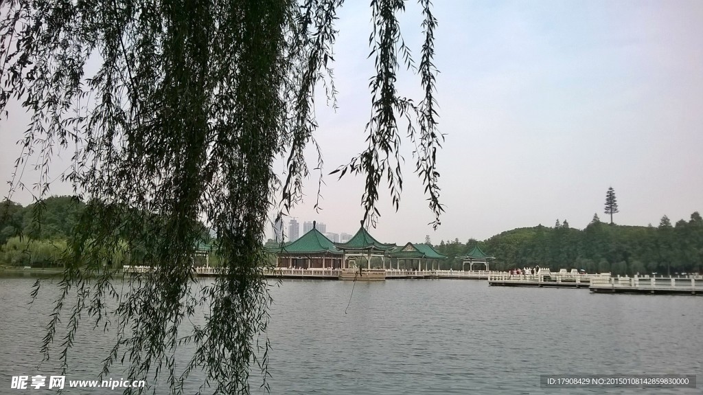 城市公园