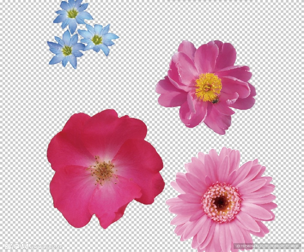 花
