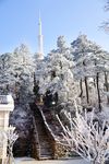 雪景