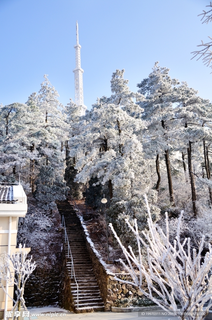 雪景