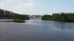 湖景