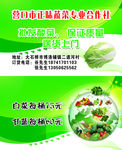 蔬菜名片