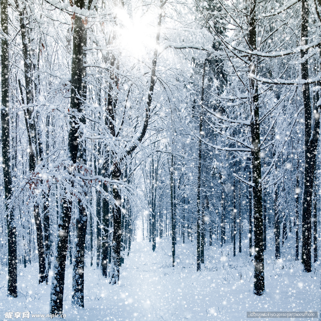 飘雪