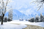 雪景
