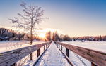 夕阳雪