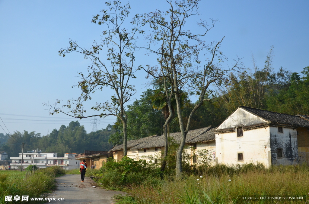 农村风景