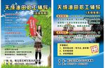 辅导学校宣传单