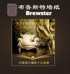 布鲁特斯