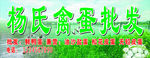 禽蛋批发店招