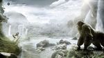 猩猩 风景