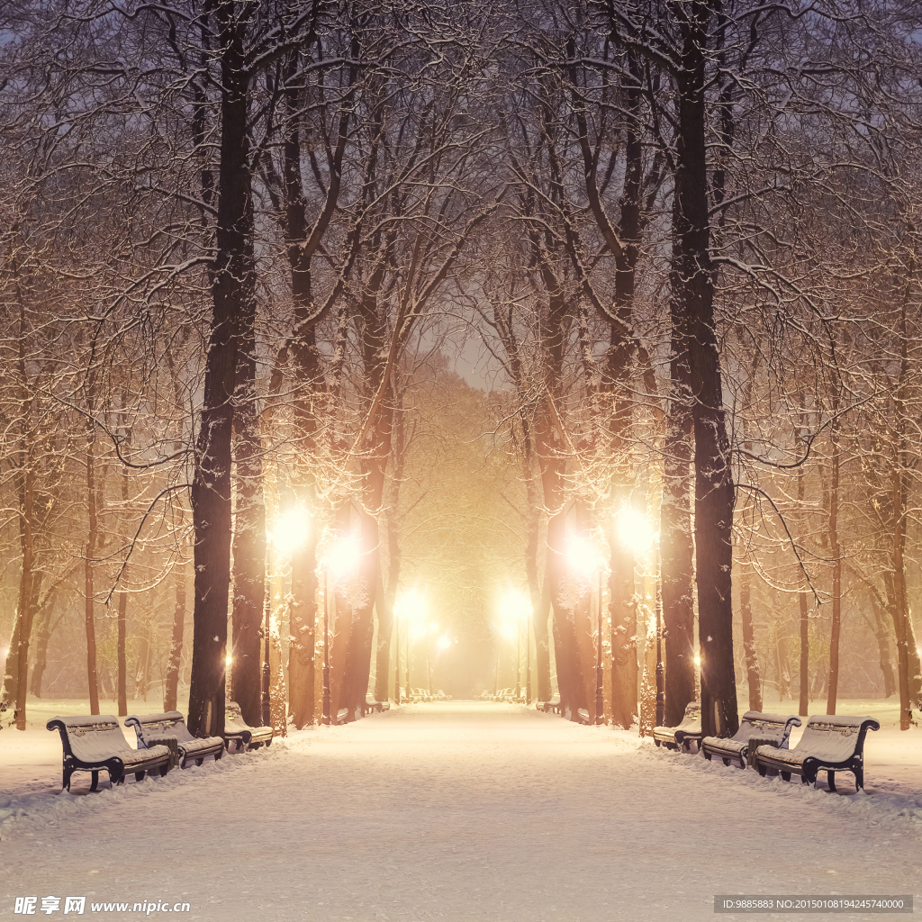 冬夜公园