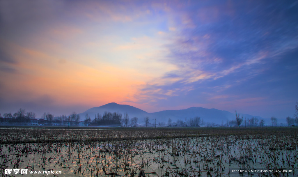 荷塘夕照