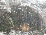 飘雪