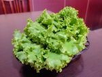 火锅 生菜