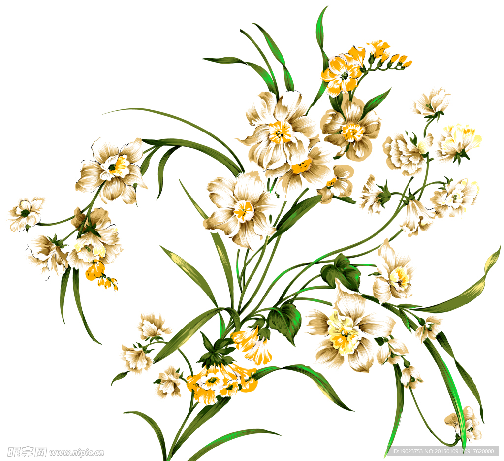 高清手绘花朵