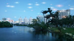 湖景