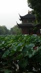 杭州亭阁